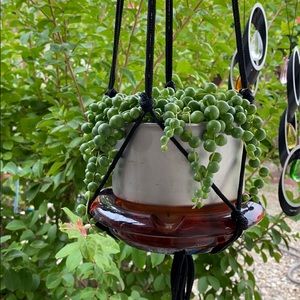 Meet your Posher, Betty ann